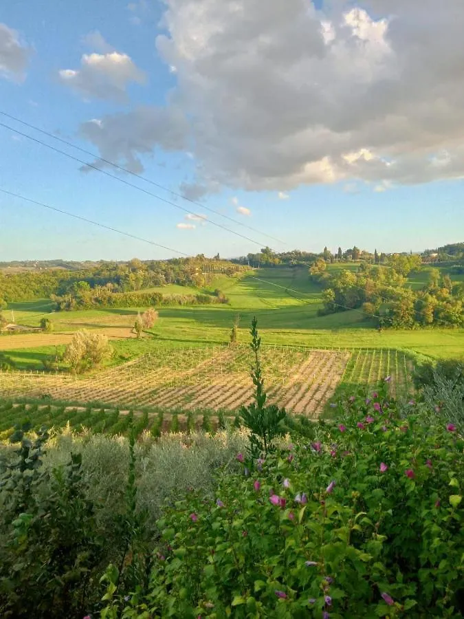 Agriturismo La Pineta Fucecchio Alloggio per agriturismo