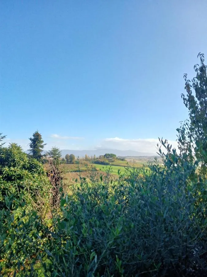 Agriturismo La Pineta Fucecchio