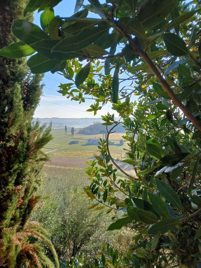 Alloggio per agriturismo Agriturismo La Pineta Fucecchio